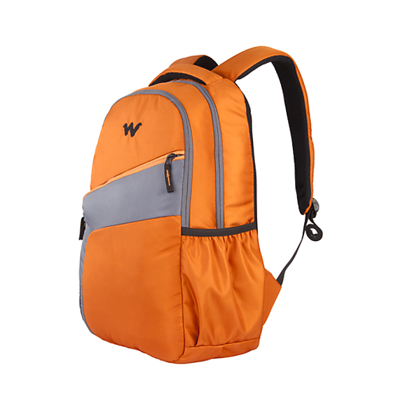 Buy Virtuso Laptop Backpack With Internal Organizer Orange Online